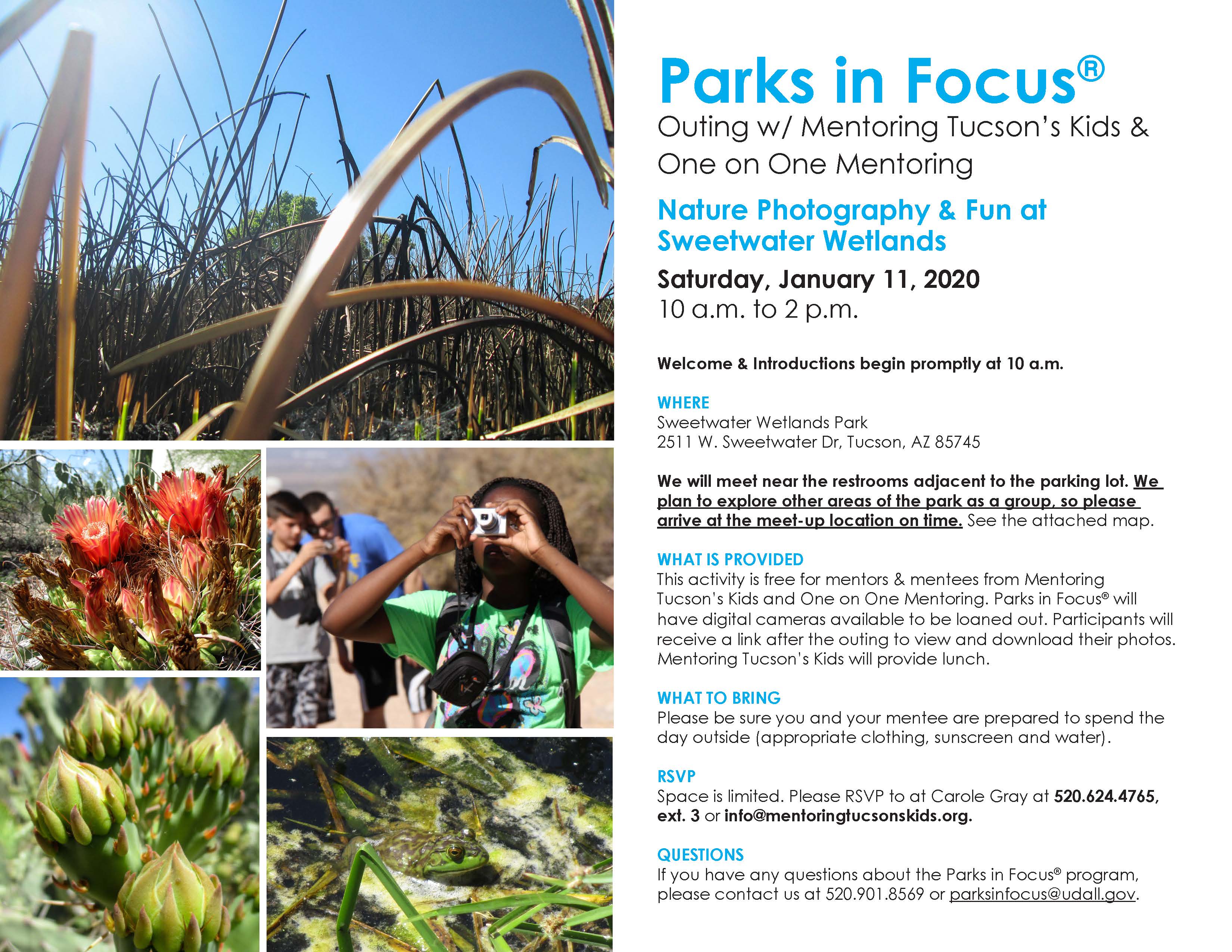 Parks in Focus 2020